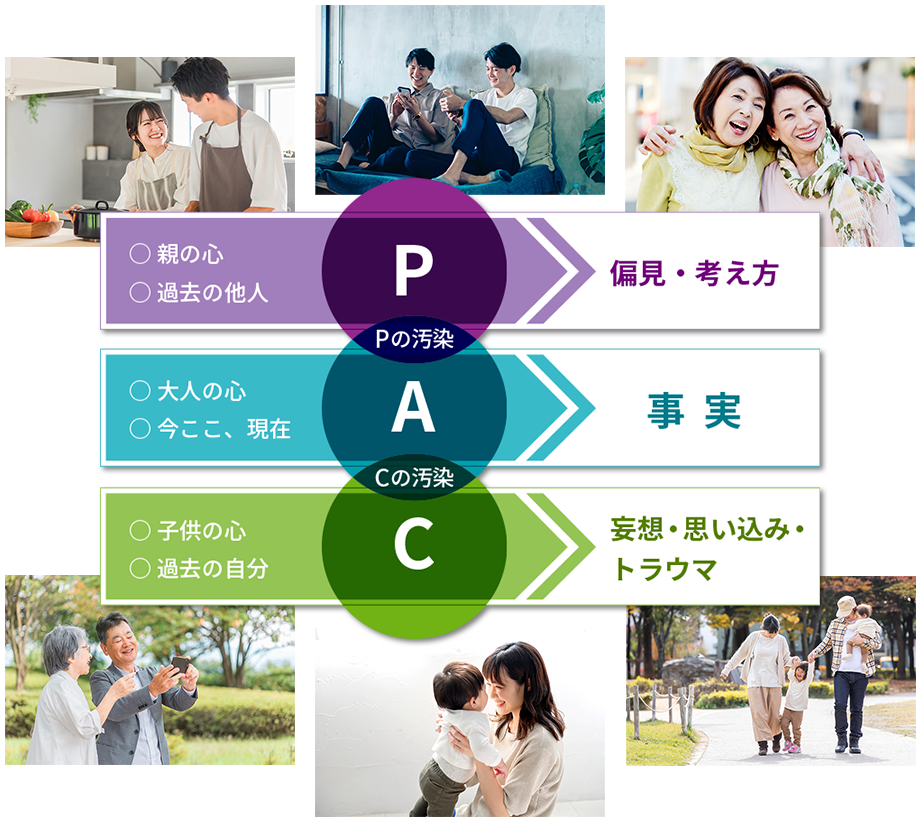 Pの汚染、Cの汚染、A（常識的な大人）の説明図
